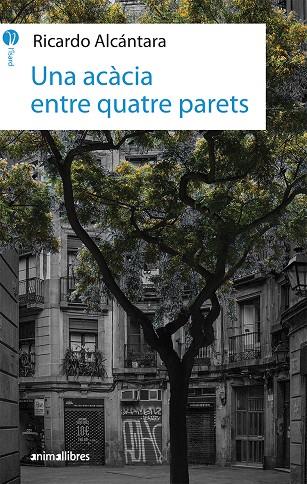 UNA ACÀCIA ENTRE QUATRE PARETS | 9788417599010 | ALCÁNTARA SGARBI, RICARDO | Llibreria Ombra | Llibreria online de Rubí, Barcelona | Comprar llibres en català i castellà online