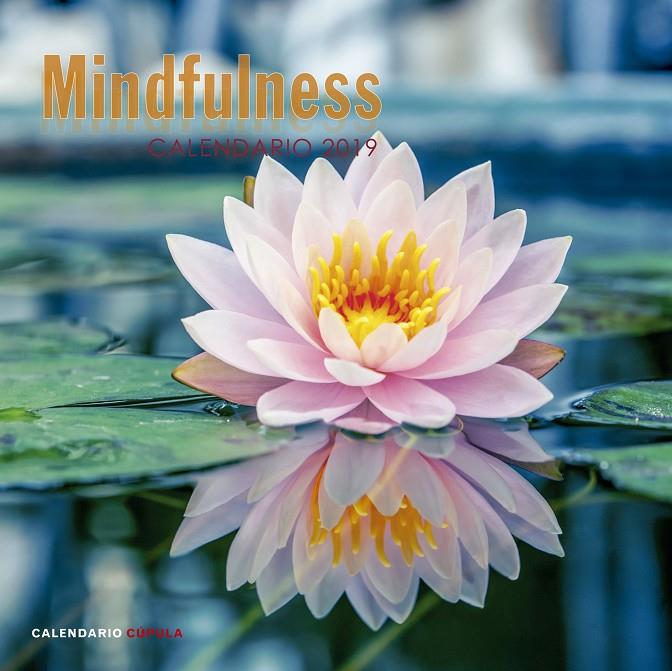 CALENDARIO MINDFULNESS 2019 | 9788448024598 | AA. VV. | Llibreria Ombra | Llibreria online de Rubí, Barcelona | Comprar llibres en català i castellà online