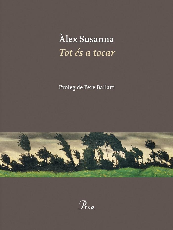 TOT ÉS A TOCAR | 9788410488045 | SUSANNA NADAL, ÀLEX | Llibreria Ombra | Llibreria online de Rubí, Barcelona | Comprar llibres en català i castellà online