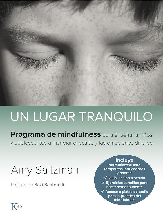 UN LUGAR TRANQUILO | 9788499887562 | SALTZMAN, AMY | Llibreria Ombra | Llibreria online de Rubí, Barcelona | Comprar llibres en català i castellà online