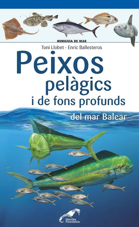 PEIXOS PELÀGICS I DE FONS PROFUNDS DEL MAR BALEAR | 9788490349397 | LLOBET FRANÇOIS, TONI/BALLESTEROS SAGARRA, ENRIC | Llibreria Ombra | Llibreria online de Rubí, Barcelona | Comprar llibres en català i castellà online