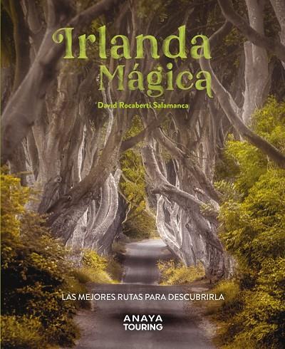 IRLANDA MÁGICA | 9788491587224 | ROCABERTI, DAVID | Llibreria Ombra | Llibreria online de Rubí, Barcelona | Comprar llibres en català i castellà online