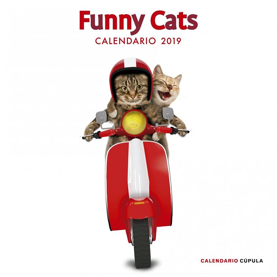 CALENDARIO FUNNY CATS 2019 | 9788448024628 | AA. VV. | Llibreria Ombra | Llibreria online de Rubí, Barcelona | Comprar llibres en català i castellà online