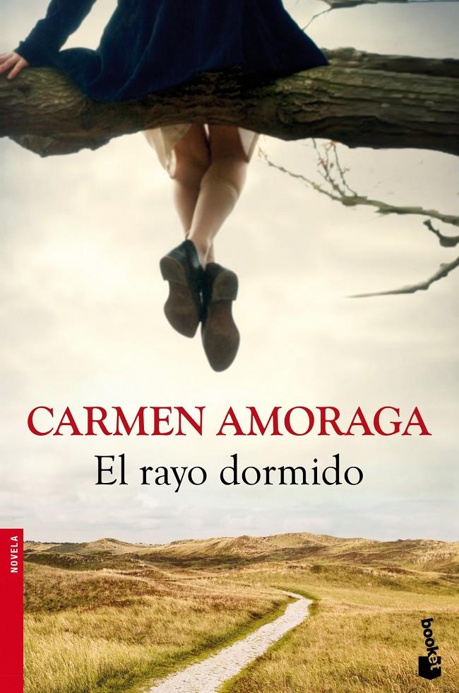 EL RAYO DORMIDO | 9788423346714 | CARMEN AMORAGA | Llibreria Ombra | Llibreria online de Rubí, Barcelona | Comprar llibres en català i castellà online