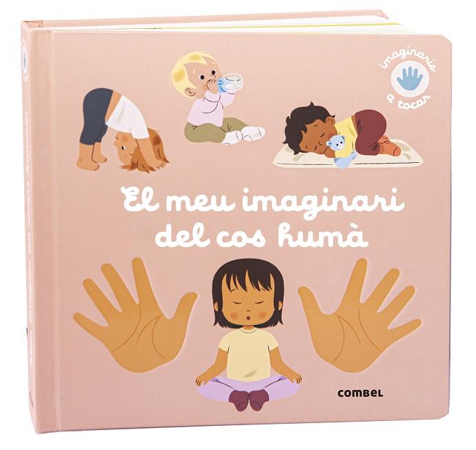 EL MEU IMAGINARI DEL COS HUMÀ | 9788411581974 | RAGONDET, NATHAIE | Llibreria Ombra | Llibreria online de Rubí, Barcelona | Comprar llibres en català i castellà online