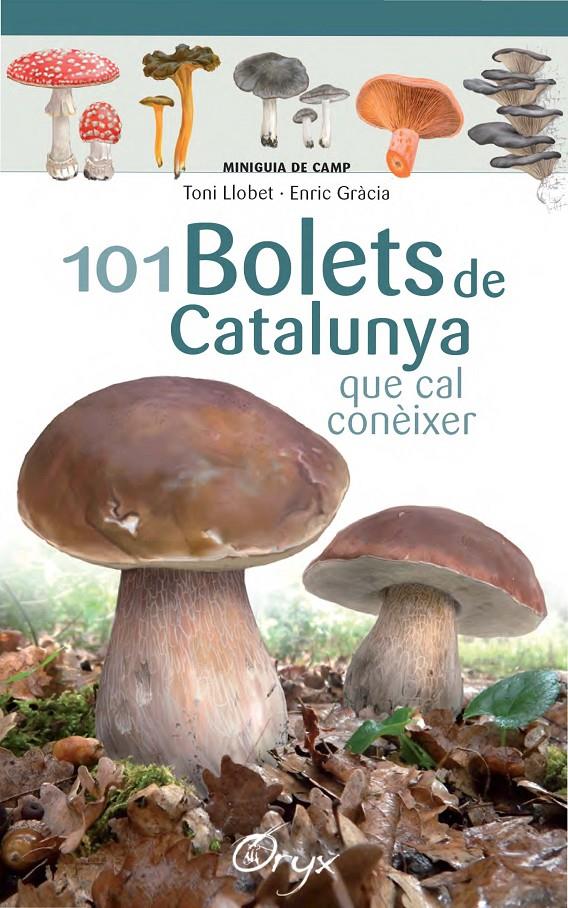 101 BOLETS DE CATALUNYA | 9788490347096 | LLOBET FRANÇOIS, TONI/GRÀCIA, ENRIC | Llibreria Ombra | Llibreria online de Rubí, Barcelona | Comprar llibres en català i castellà online