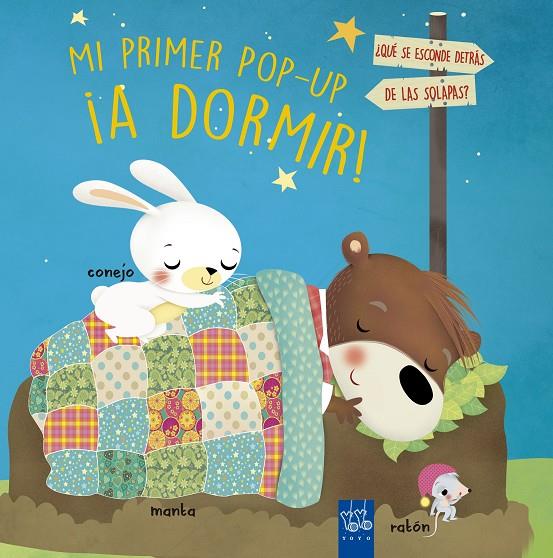 ¡A DORMIR! | 9788408210894 | YOYO | Llibreria Ombra | Llibreria online de Rubí, Barcelona | Comprar llibres en català i castellà online