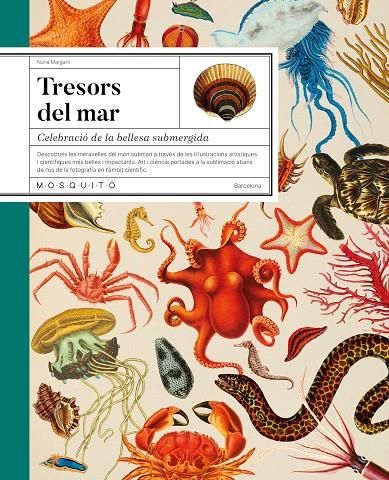 TRESORS DEL MAR | 9788419095756 | MARGARIT, NÚRIA | Llibreria Ombra | Llibreria online de Rubí, Barcelona | Comprar llibres en català i castellà online