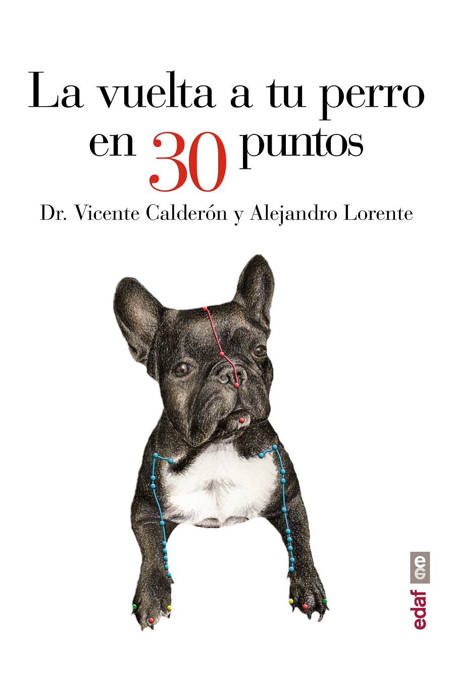 LA VUELTA A TU PERRO EN 30 PUNTOS | 9788441435483 | VICENTE CALDERÓN, DR. VICENTE / LORENTE, ALEJANDRO | Llibreria Ombra | Llibreria online de Rubí, Barcelona | Comprar llibres en català i castellà online