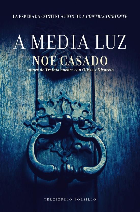 A MEDIA LUZ | 9788415952961 | CASADO, NOE | Llibreria Ombra | Llibreria online de Rubí, Barcelona | Comprar llibres en català i castellà online