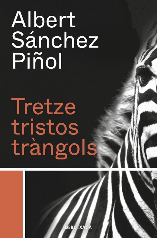 TRETZE TRISTOS TRÀNGOLS | 9788418132384 | SÁNCHEZ PIÑOL, ALBERT | Llibreria Ombra | Llibreria online de Rubí, Barcelona | Comprar llibres en català i castellà online