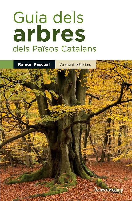 GUIA DELS ARBRES DELS PAÏSOS CATALANS | 9788490343586 | PASCUAL LLUVIÀ, RAMON | Llibreria Ombra | Llibreria online de Rubí, Barcelona | Comprar llibres en català i castellà online