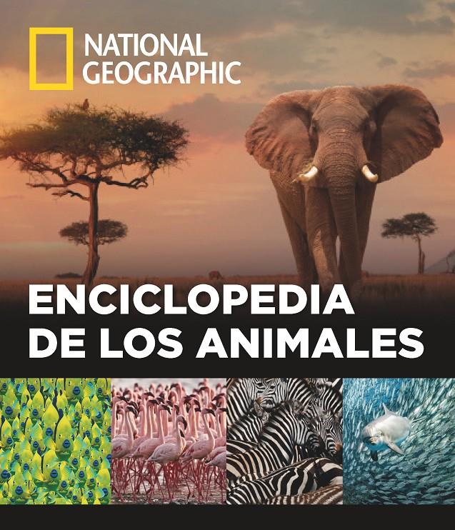 ENCICLOPEDIA DE LOS ANIMALES | 9788482986432 | VARIOS AUTORES | Llibreria Ombra | Llibreria online de Rubí, Barcelona | Comprar llibres en català i castellà online