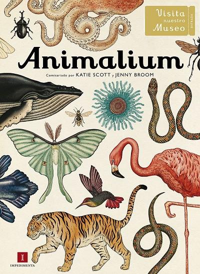 ANIMALIUM | 9788415979463 | Llibreria Ombra | Llibreria online de Rubí, Barcelona | Comprar llibres en català i castellà online