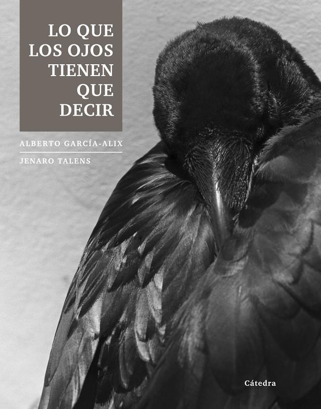 LO QUE LOS OJOS TIENEN QUE DECIR | 9788437633251 | ALBERTO GARCIA-ALIX - JENARO TALENS | Llibreria Ombra | Llibreria online de Rubí, Barcelona | Comprar llibres en català i castellà online