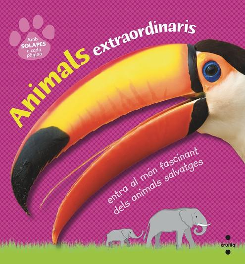 C-ANIMALS EXTRAORDINARIS | 9788466145138 | DORLING KINDERSLEY , EQUIPO EDITORIAL | Llibreria Ombra | Llibreria online de Rubí, Barcelona | Comprar llibres en català i castellà online