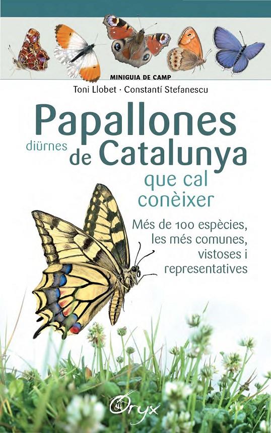 PAPALLONES DIÜRNES DE CATALUNYA | 9788490346754 | LLOBET FRANÇOIS, TONI/STEFANESCU, CONSTANTÍ | Llibreria Ombra | Llibreria online de Rubí, Barcelona | Comprar llibres en català i castellà online