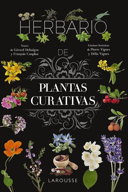 HERBARIO DE PLANTAS CURATIVAS | 9788410124110 | VIGNES, PIERRE/VIGNES, DÉLIA | Llibreria Ombra | Llibreria online de Rubí, Barcelona | Comprar llibres en català i castellà online