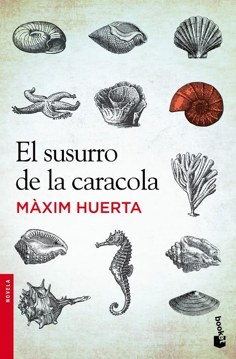 EL SUSURRO DE LA CARACOLA | 9788427030251 | MAXIM HUERTA | Llibreria Ombra | Llibreria online de Rubí, Barcelona | Comprar llibres en català i castellà online