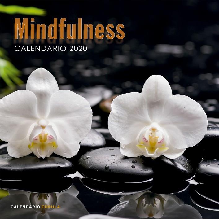 CALENDARIO MINDFULNESS 2020 | 9788448026110 | AA. VV. | Llibreria Ombra | Llibreria online de Rubí, Barcelona | Comprar llibres en català i castellà online