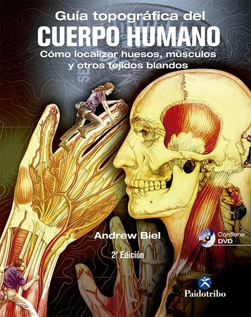 GUÍA TOPOGRÁFICA DEL CUERPO HUMANO + DVD. CÓMO LOCALIZAR HUESOS, MÚSCULOS Y OTRO | 9788499101590 | BIEL, ANDREW | Llibreria Ombra | Llibreria online de Rubí, Barcelona | Comprar llibres en català i castellà online