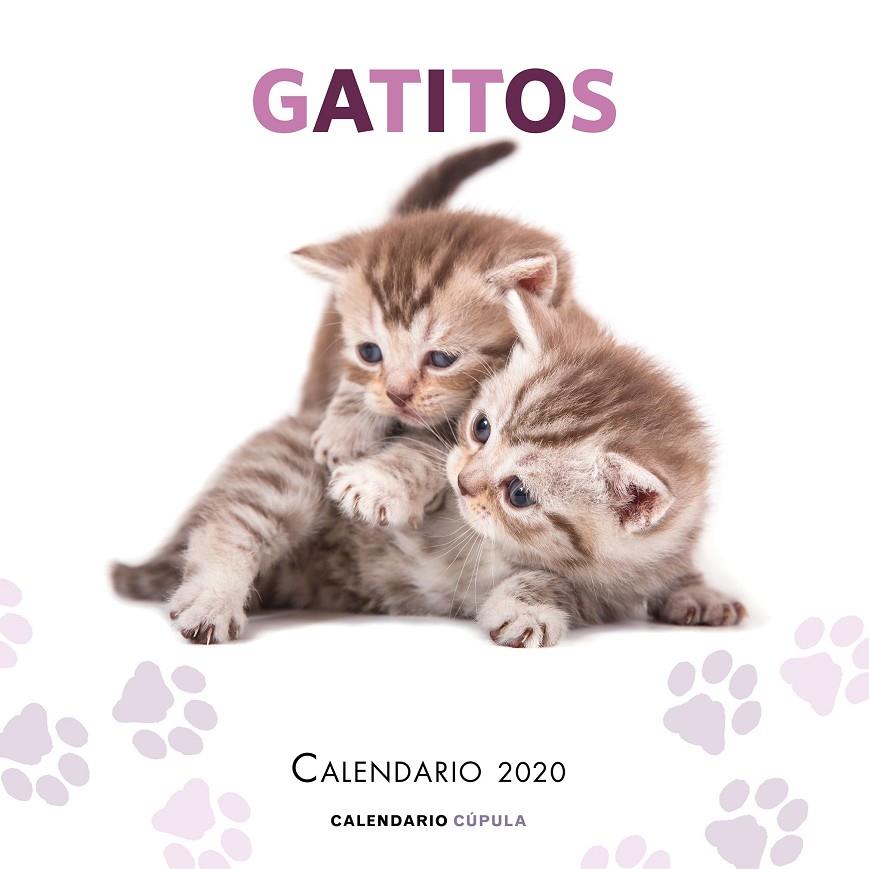 CALENDARIO GATITOS 2020 | 9788448026165 | AA. VV. | Llibreria Ombra | Llibreria online de Rubí, Barcelona | Comprar llibres en català i castellà online