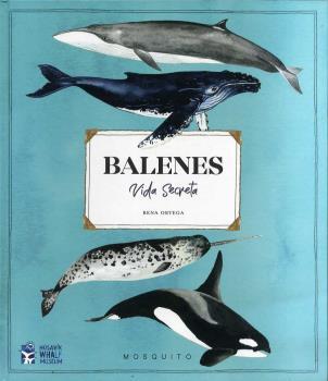 BALENES VIDA SECRETA | 9788412247954 | ORTEGA, RENA | Llibreria Ombra | Llibreria online de Rubí, Barcelona | Comprar llibres en català i castellà online