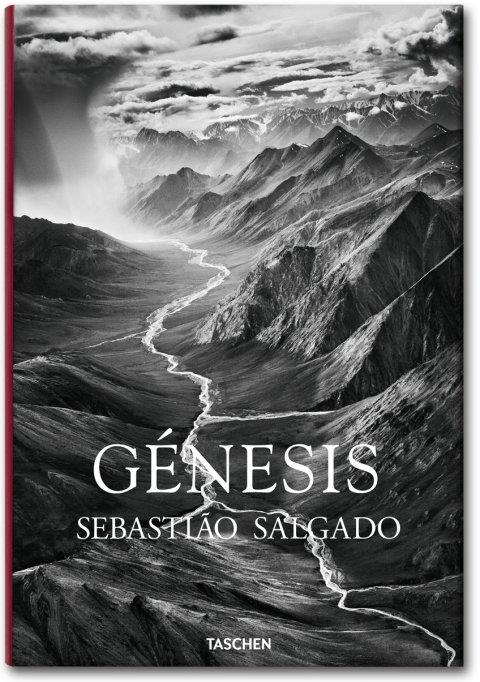 SALGADO, GENESIS | 9783836542609 | LEILA WANICK SALGADO | Llibreria Ombra | Llibreria online de Rubí, Barcelona | Comprar llibres en català i castellà online