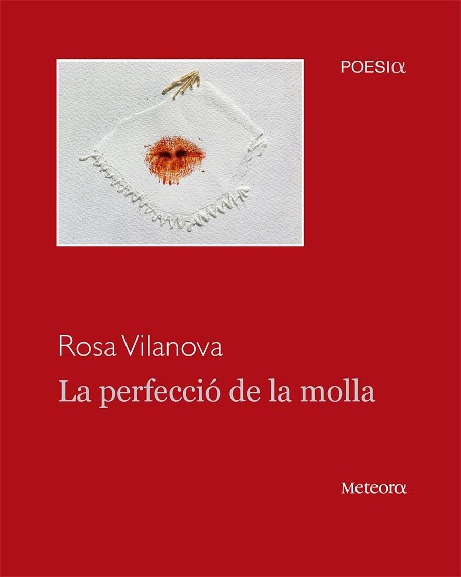 LA PERFECCIÓ DE LA MOLLA | 9788494362941 | VILANOVA TANÉ, ROSA | Llibreria Ombra | Llibreria online de Rubí, Barcelona | Comprar llibres en català i castellà online