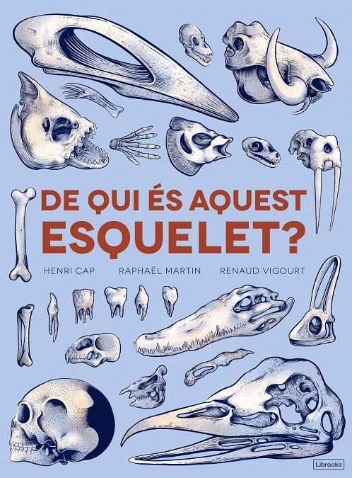 DE QUI ÉS AQUEST ESQUELET? | 9788494731860 | CAP, HENRI/MARTÍN, RAPHAËL | Llibreria Ombra | Llibreria online de Rubí, Barcelona | Comprar llibres en català i castellà online