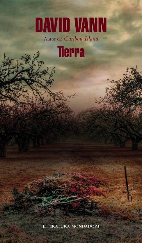 TIERRA | 9788439726562 | DAVID VANN | Llibreria Ombra | Llibreria online de Rubí, Barcelona | Comprar llibres en català i castellà online