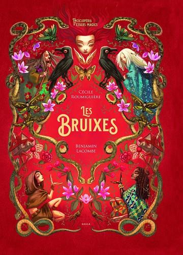 LES BRUIXES | 9788447948987 | ROUMIGUIÈRE, CÉCILE | Llibreria Ombra | Llibreria online de Rubí, Barcelona | Comprar llibres en català i castellà online