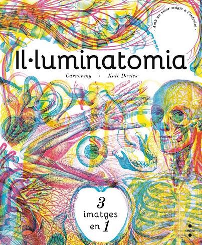 C-IL ·LUMINATOMIA | 9788466143240 | CARNOVSKY,/DAVIES, KATE | Llibreria Ombra | Llibreria online de Rubí, Barcelona | Comprar llibres en català i castellà online