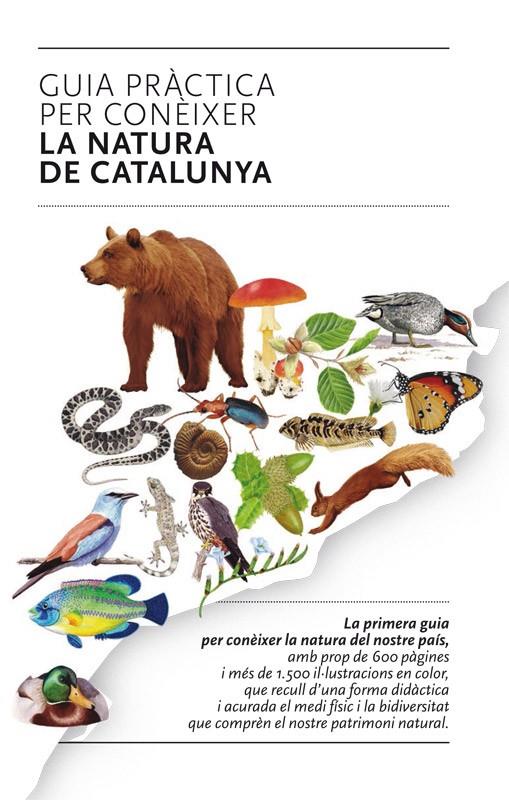 GUIA PRACTICA PER CONEIXER LA NATURA DE CATALUNYA | 9788493662141 | VAZQUEZ - MALUQUER-MARGALEF | Llibreria Ombra | Llibreria online de Rubí, Barcelona | Comprar llibres en català i castellà online