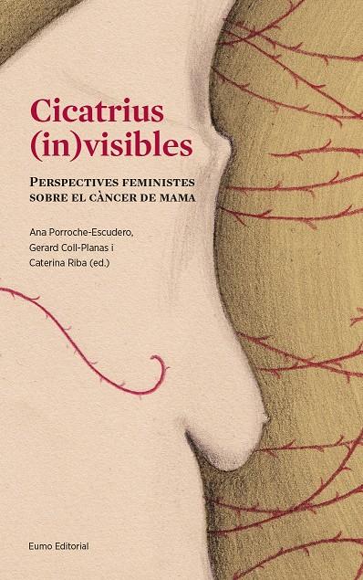 CICATRIUS (IN)VISIBLES | 9788497665643 | PORROCHE ESCUDERO, ANA/COLL PLANAS, GERARD/RIBA SANMARTÍ, CATERINA | Llibreria Ombra | Llibreria online de Rubí, Barcelona | Comprar llibres en català i castellà online