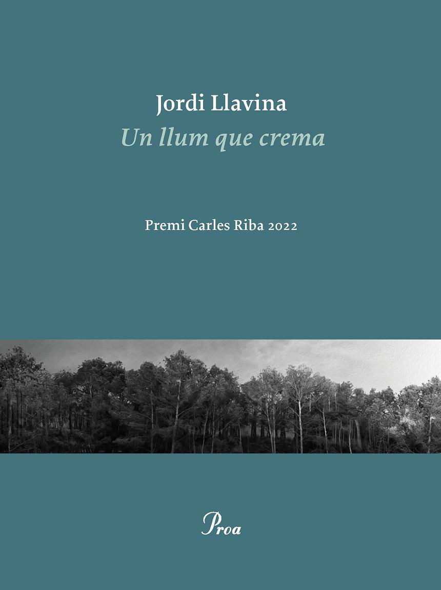 UN LLUM QUE CREMA | 9788475889979 | LLAVINA, JORDI | Llibreria Ombra | Llibreria online de Rubí, Barcelona | Comprar llibres en català i castellà online