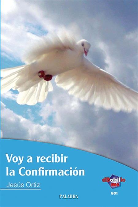 VOY A RECIBIR LA CONFIRMACIÓN | 9788498403299 | ORTIZ, JESÚS | Llibreria Ombra | Llibreria online de Rubí, Barcelona | Comprar llibres en català i castellà online