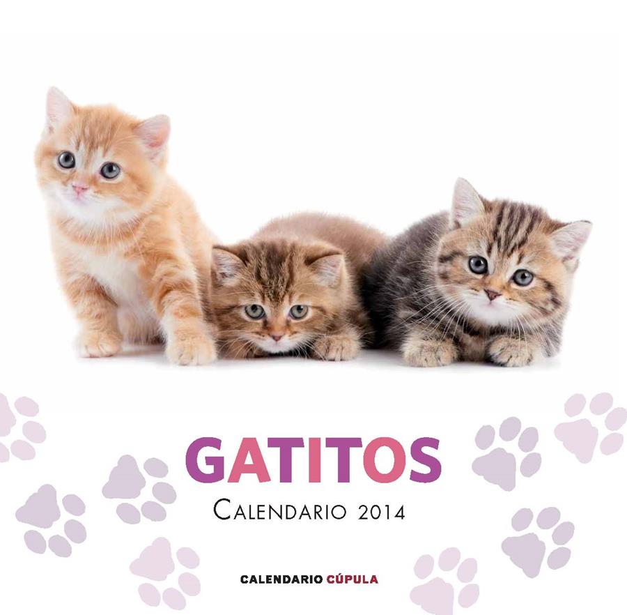 CALENDARIO GATITOS 2014 | 9788448011680 | AA. VV. | Llibreria Ombra | Llibreria online de Rubí, Barcelona | Comprar llibres en català i castellà online