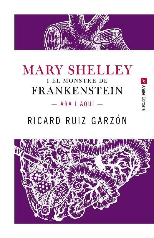 MARY SHELLEY I EL MONSTRE DE FRANKENSTEIN. | 9788417214227 | RUIZ GARZÓN, RICARD | Llibreria Ombra | Llibreria online de Rubí, Barcelona | Comprar llibres en català i castellà online