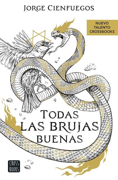 TODAS LAS BRUJAS BUENAS | 9788408260066 | CIENFUEGOS, JORGE | Llibreria Ombra | Llibreria online de Rubí, Barcelona | Comprar llibres en català i castellà online