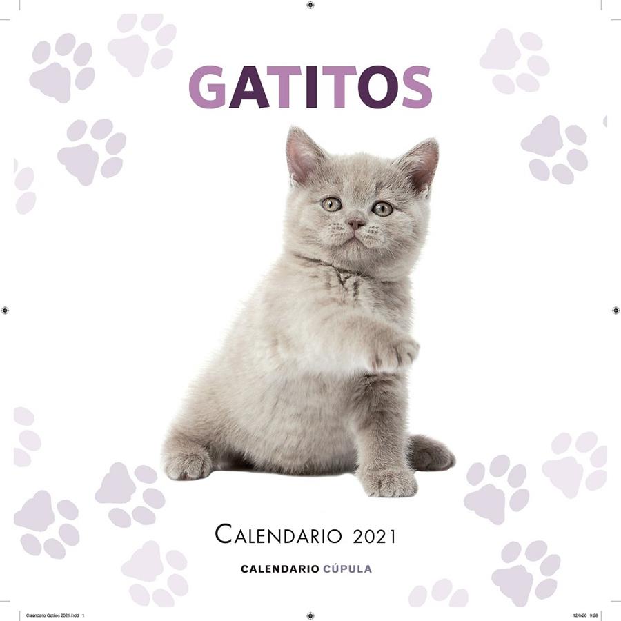 CALENDARIO GATITOS 2021 | 9788448027681 | AA. VV. | Llibreria Ombra | Llibreria online de Rubí, Barcelona | Comprar llibres en català i castellà online