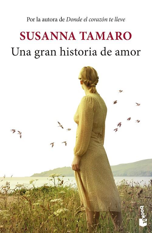 UNA GRAN HISTORIA DE AMOR | 9788432242618 | TAMARO, SUSANNA | Llibreria Ombra | Llibreria online de Rubí, Barcelona | Comprar llibres en català i castellà online