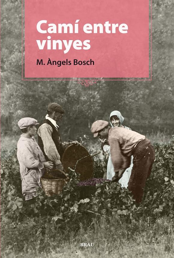 CAMÍ ENTRE VINYES | 9788496905924 | BOSCH CASTELLÓ, M. ÀNGELS | Llibreria Ombra | Llibreria online de Rubí, Barcelona | Comprar llibres en català i castellà online