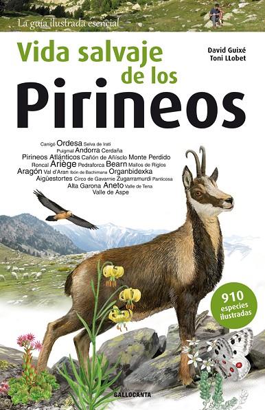 VIDA SALVAJE DE LOS PIRINEOS | 9788415885542 | GUIXÉ COROMINES, DAVID | Llibreria Ombra | Llibreria online de Rubí, Barcelona | Comprar llibres en català i castellà online