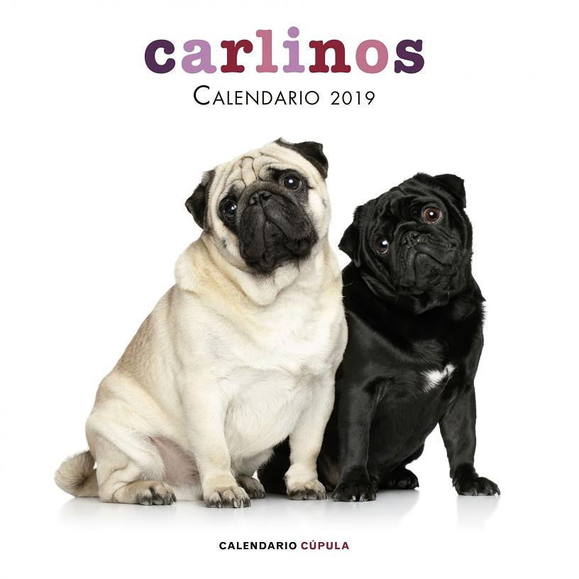 CALENDARIO CARLINOS 2019 | 9788448024680 | AA. VV. | Llibreria Ombra | Llibreria online de Rubí, Barcelona | Comprar llibres en català i castellà online