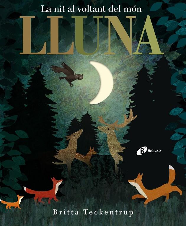 LA NIT AL VOLTANT DEL MON LLUNA | 9788499068497 | HEGARTY, PATRICIA | Llibreria Ombra | Llibreria online de Rubí, Barcelona | Comprar llibres en català i castellà online