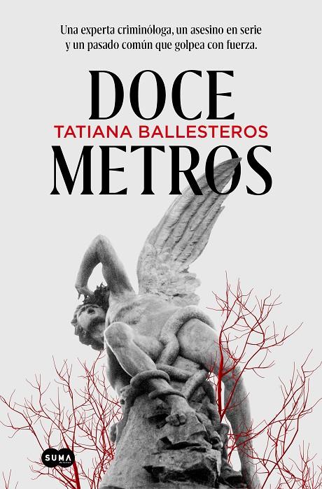 DOCE METROS | 9788491296485 | BALLESTEROS, TATIANA | Llibreria Ombra | Llibreria online de Rubí, Barcelona | Comprar llibres en català i castellà online