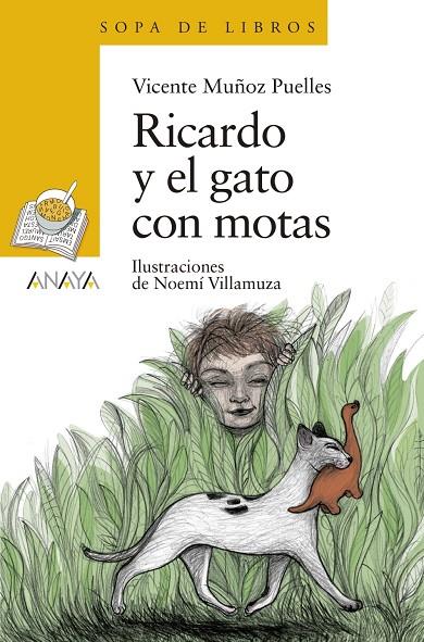 RICARDO Y EL GATO CON MOTAS | 9788469848272 | MUÑOZ PUELLES, VICENTE | Llibreria Ombra | Llibreria online de Rubí, Barcelona | Comprar llibres en català i castellà online