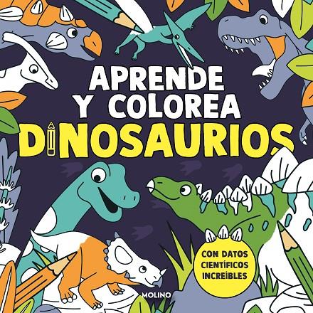 APRENDE Y COLOREA: DINOSAURIOS | 9788427245457 | VARIOS AUTORES | Llibreria Ombra | Llibreria online de Rubí, Barcelona | Comprar llibres en català i castellà online