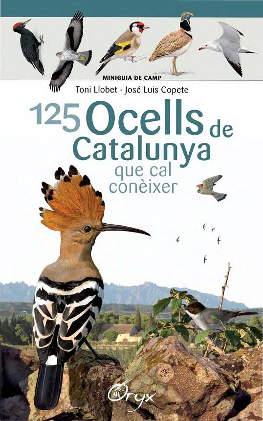 125 OCELLS DE CATALUNYA | 9788490346747 | LLOBET FRANÇOIS, TONI/COPETE, JOSÉ LUIS | Llibreria Ombra | Llibreria online de Rubí, Barcelona | Comprar llibres en català i castellà online